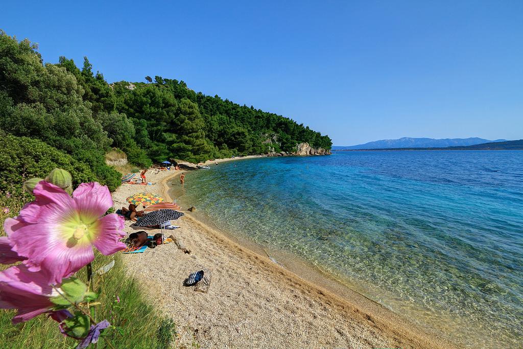 Camp Dole Zivogosce - Mobile Home And Glamping Tent Esterno foto